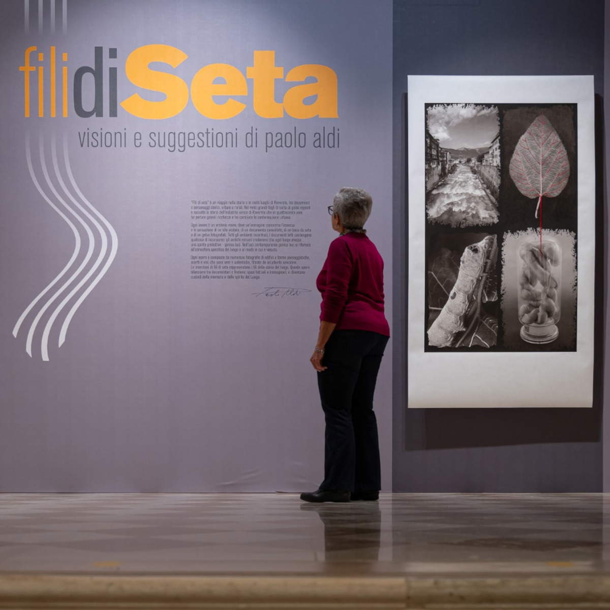 Fili di Seta. Visioni e suggestioni di Paolo Aldi