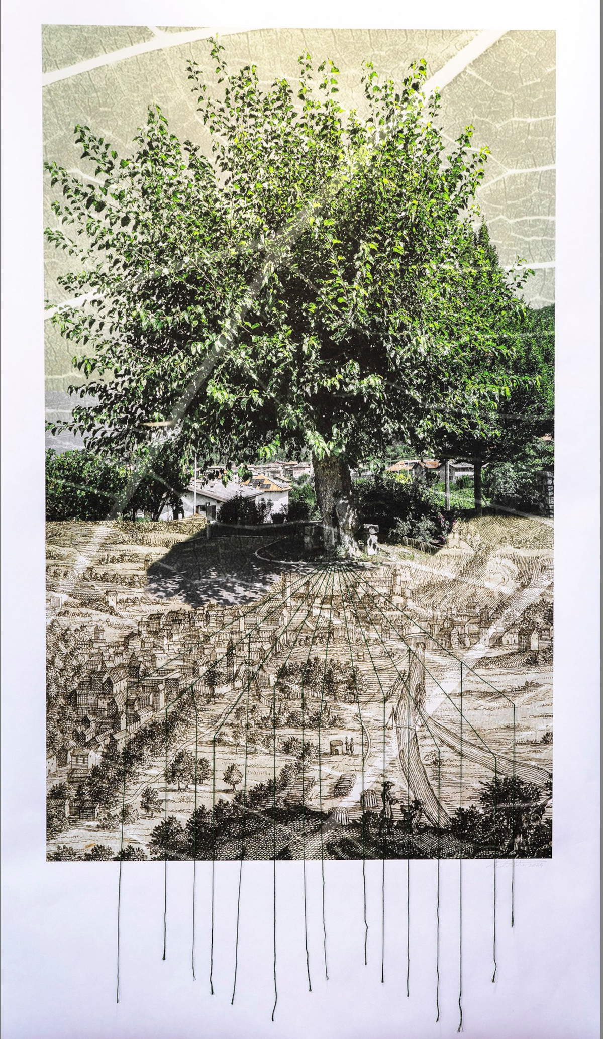 Fili di Seta. Visioni e suggestioni di Paolo Aldi