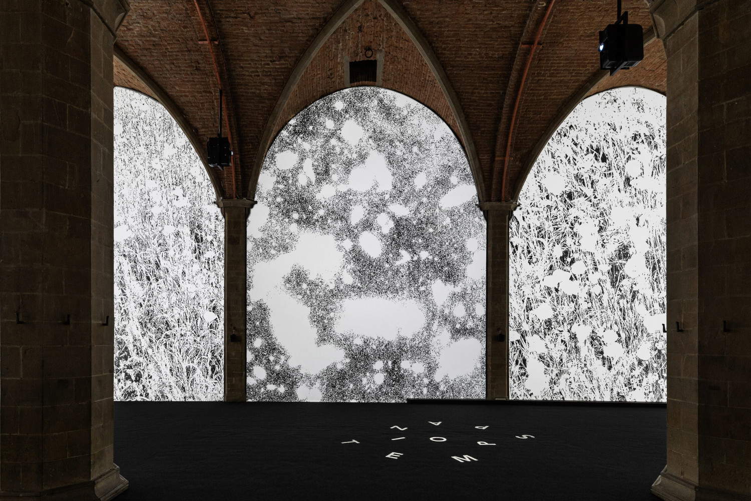 Angela Detanico and Rafael Lain, Flowering of Light (2024, Sala d'Arme, Palazzo Vecchio, Florence)