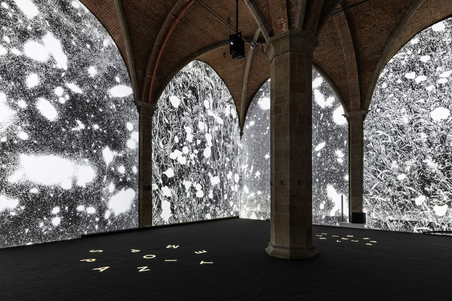 Angela Detanico and Rafael Lain, Flowering of Light (2024, Sala d'Arme, Palazzo Vecchio, Florence)