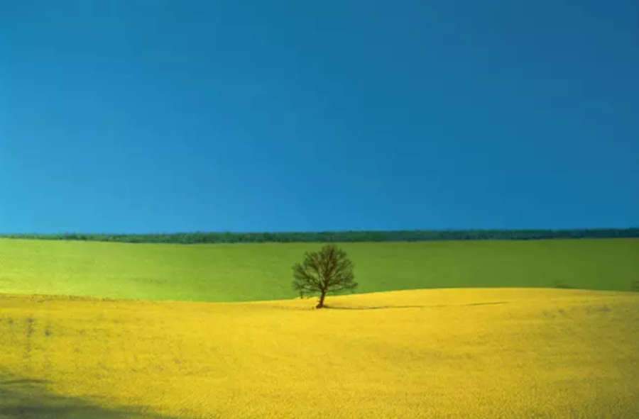 An exhibition in Brescia brings together 122 works by Franco Fontana, pioneer of color photography