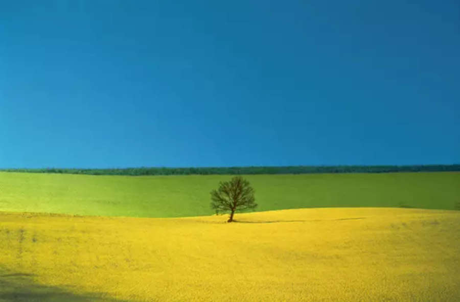 An exhibition in Brescia brings together 122 works by Franco Fontana, pioneer of color photography