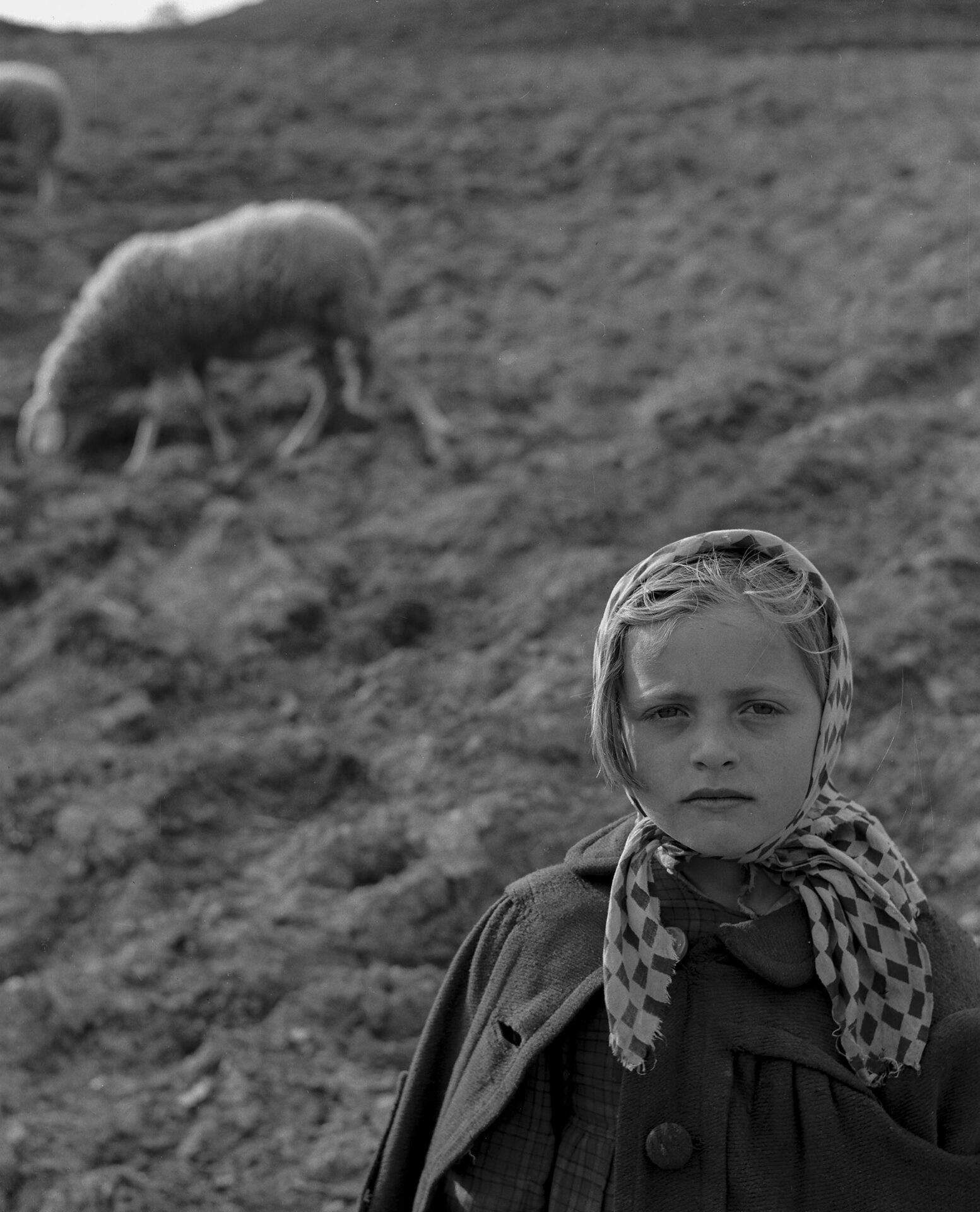 Fulvio Roiter, Alrededores de Gubbio (1954). Créditos Archivo Fulvio Roiter