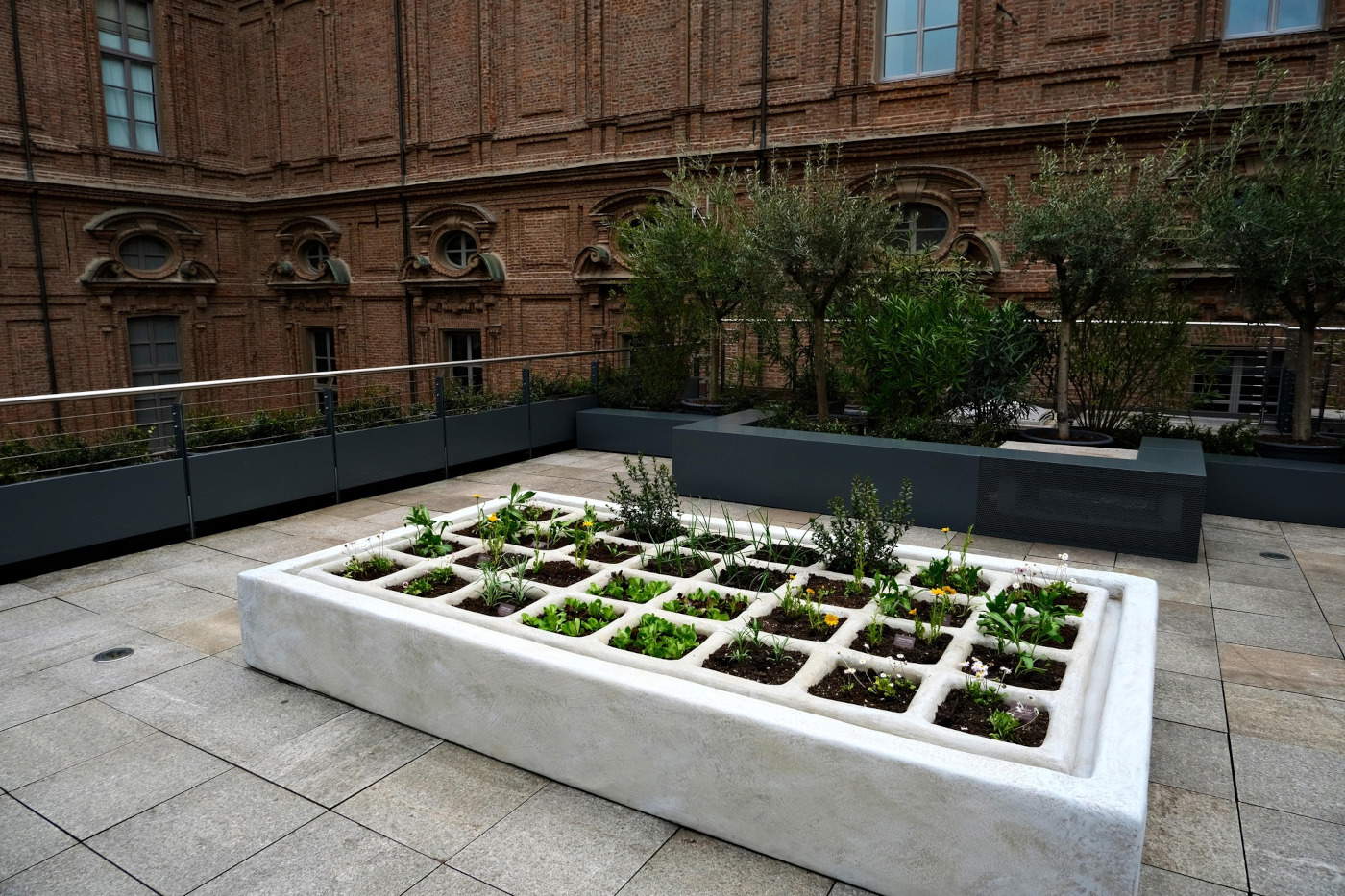 Egyptian Museum opens on Roof Garden a new permanent exhibit with two gardens