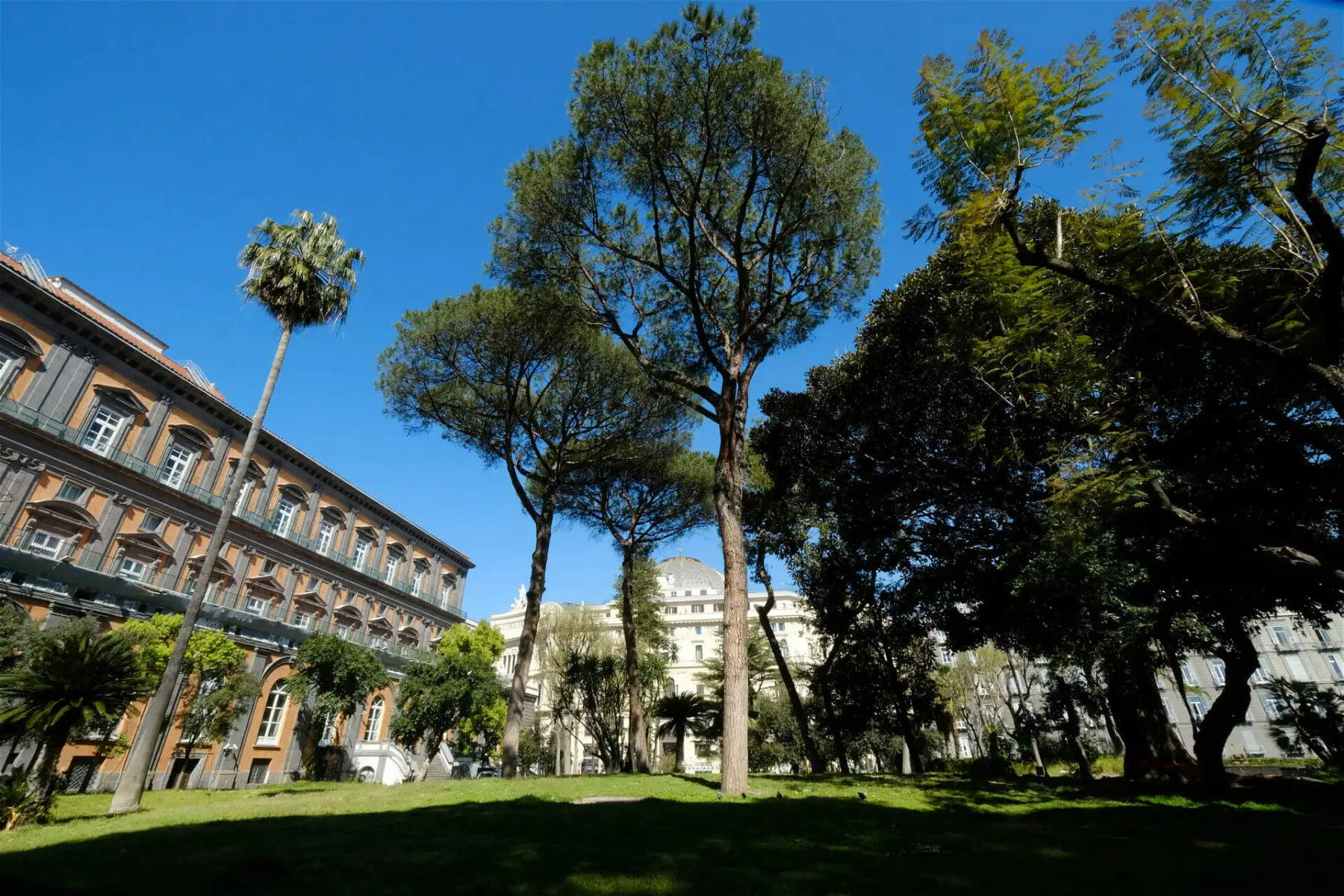 Napoli, confermato il divieto d'accesso ai cani nei giardini storici di Palazzo Reale. Il Tar respinge il ricorso