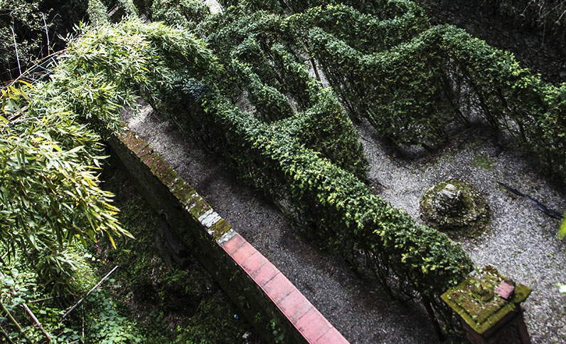 Le labyrinthe de la Villa Garzoni à Collodi, un labyrinthe pour les amoureux