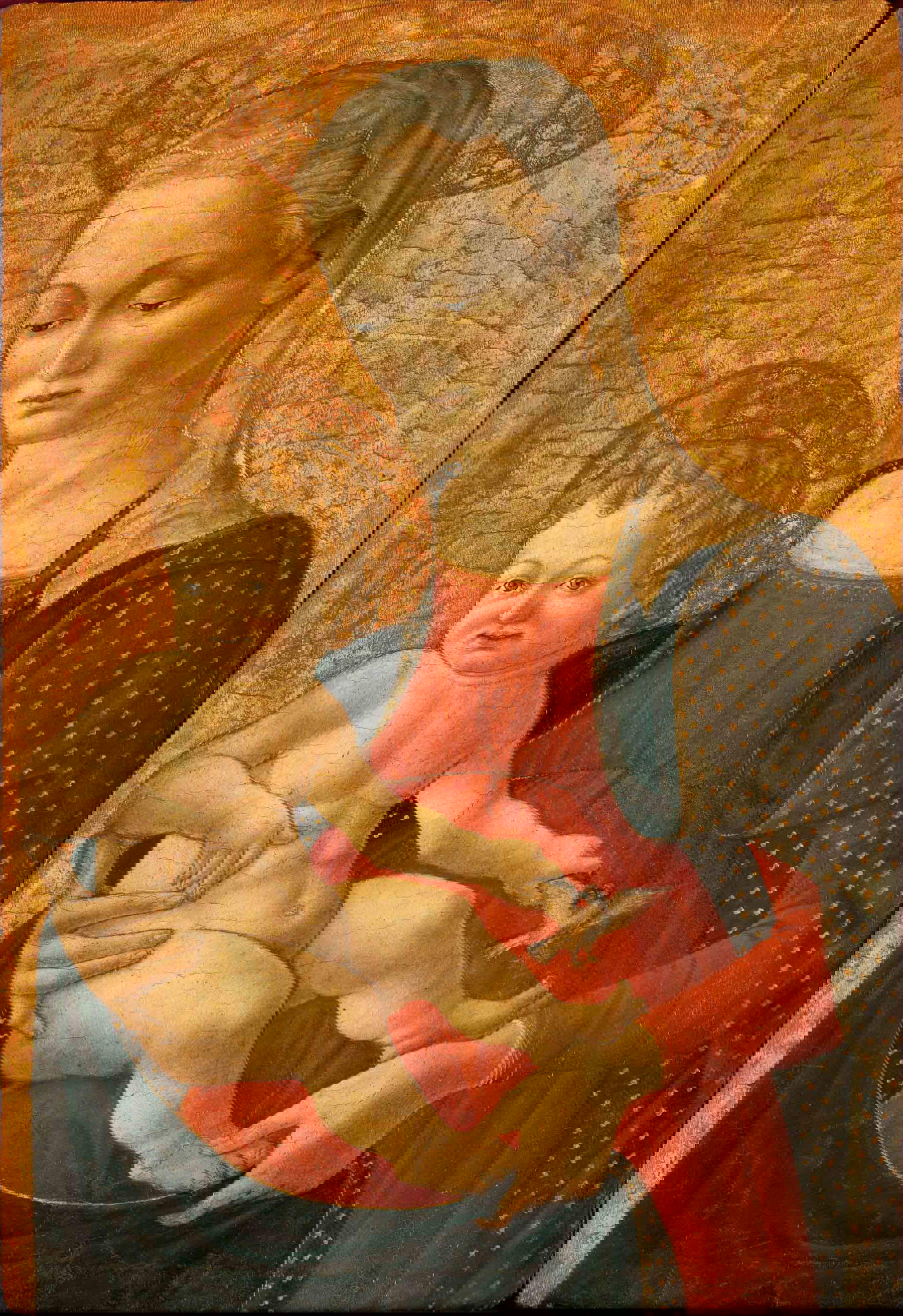 Giovanni di Francesco del Cervelliera (Florence 1418-1459), Vierge à l'enfant (vers 1450 ; tempera et or sur panneau, 52,3x36 cm ; Prato, Museo di Palazzo Pretorio, inv. 1313)