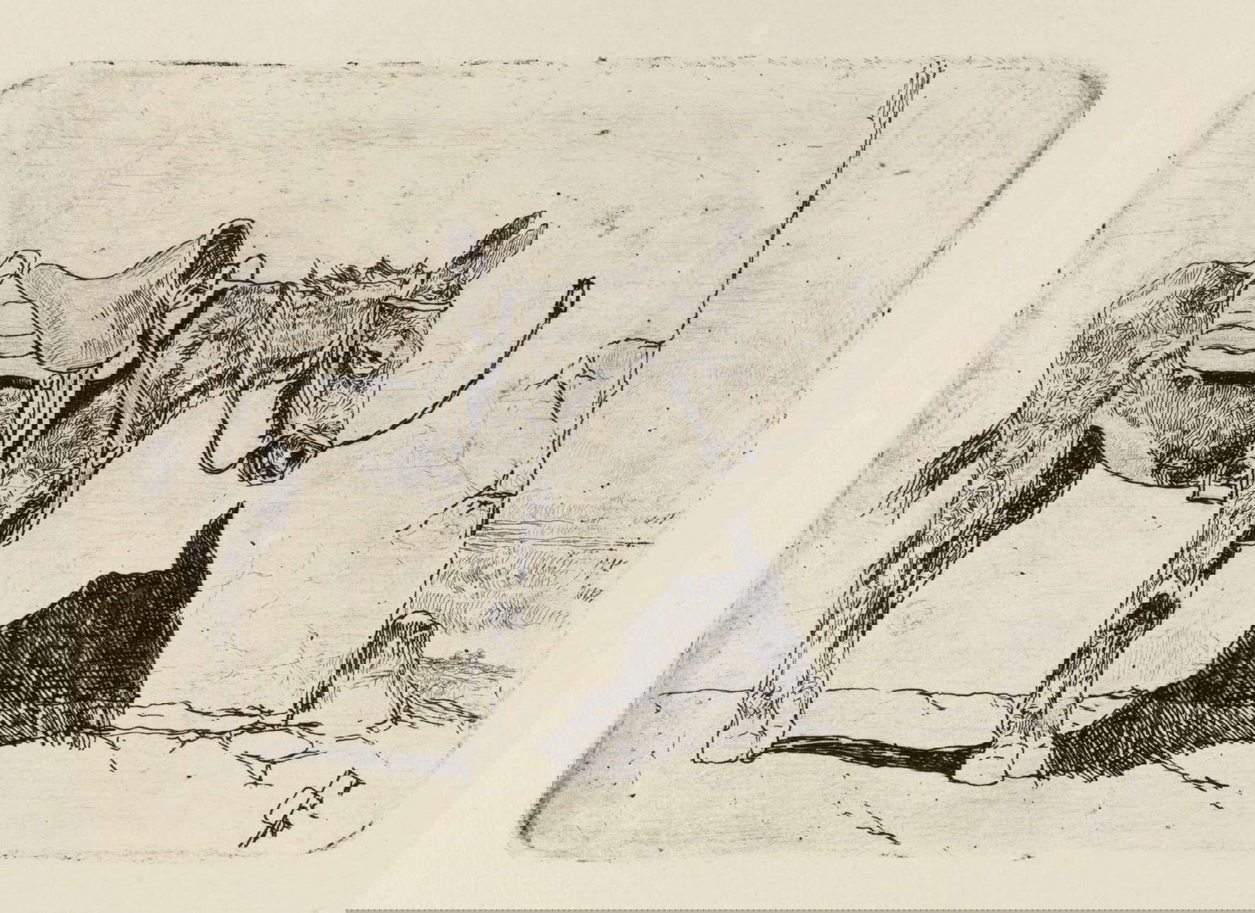 Giovanni Fattori, Somarello in der Sonne (um 1907-1908; Radierung, 140 x 194 mm; Bergamo, Fondazione Accademia Carrara) Giovanni Fattori, Somarello in der Sonne (um 1907-1908; Radierung, 140 x 194 mm; Bergamo, Fondazione Accademia Carrara)
