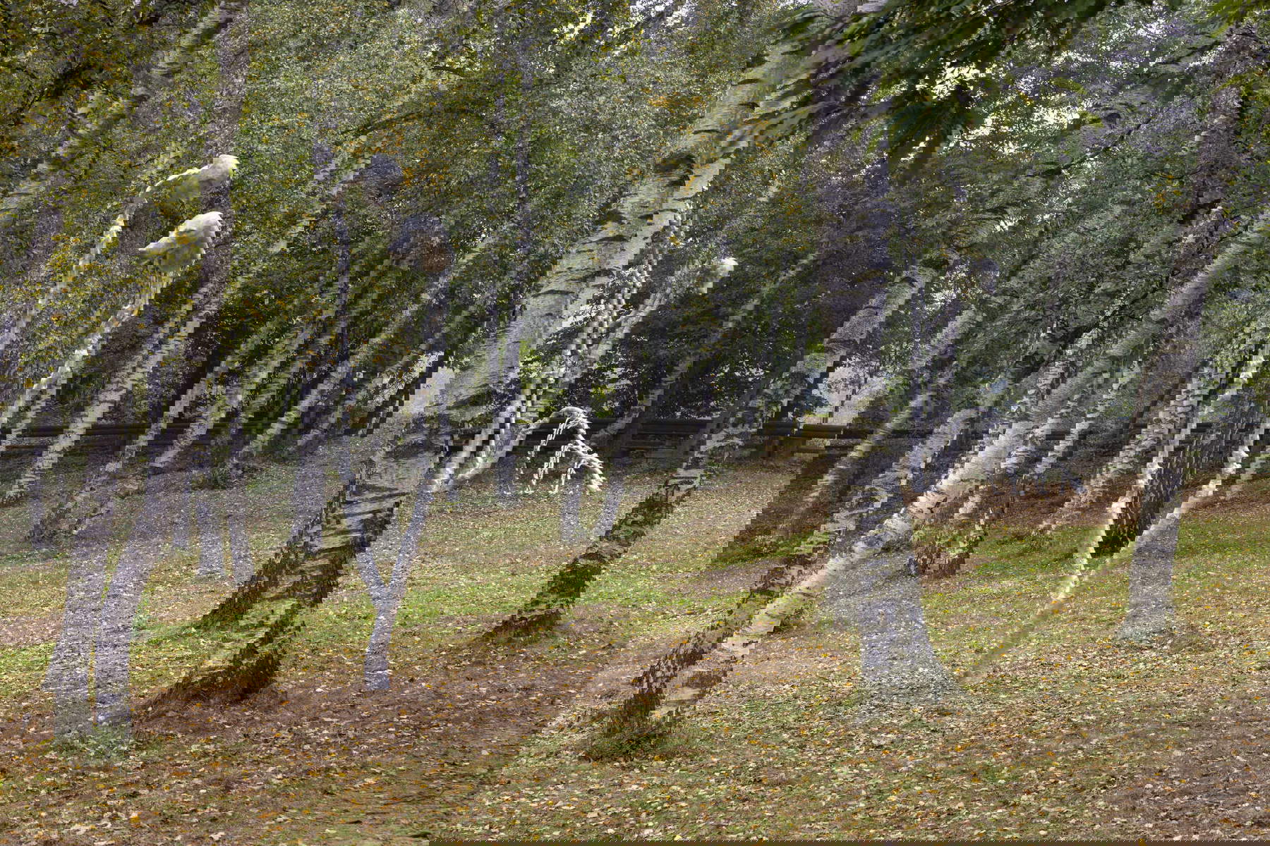 Giulia Cenci, Le masche (2024). Photo : Roberto Marossi Giulia Cenci, Le masche (2024). Photo : Roberto Marossi