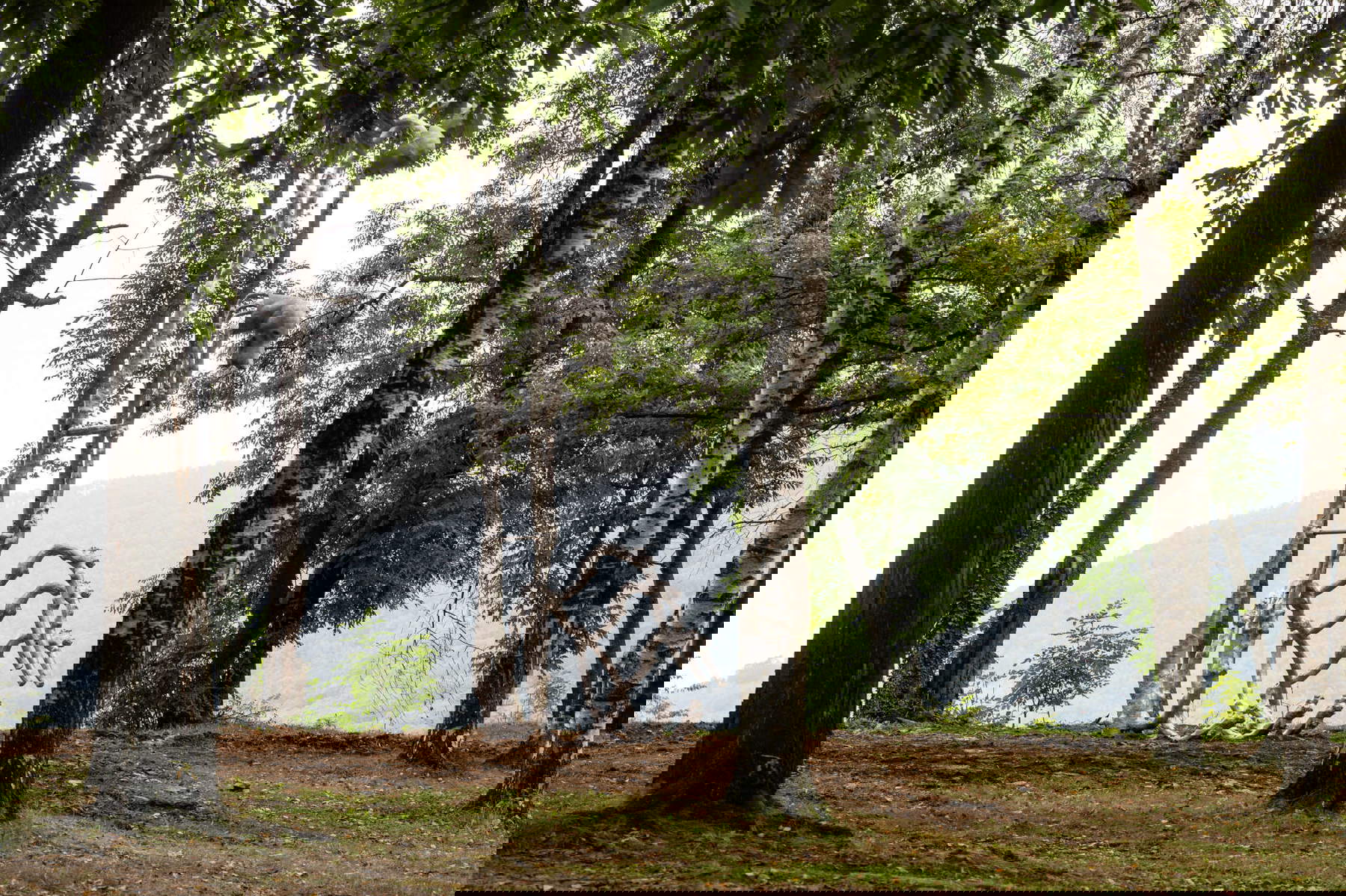 Giulia Cenci, Le masche (2024). Photo : Andrea Guermani Giulia Cenci, Le masche (2024). Photo : Andrea Guermani