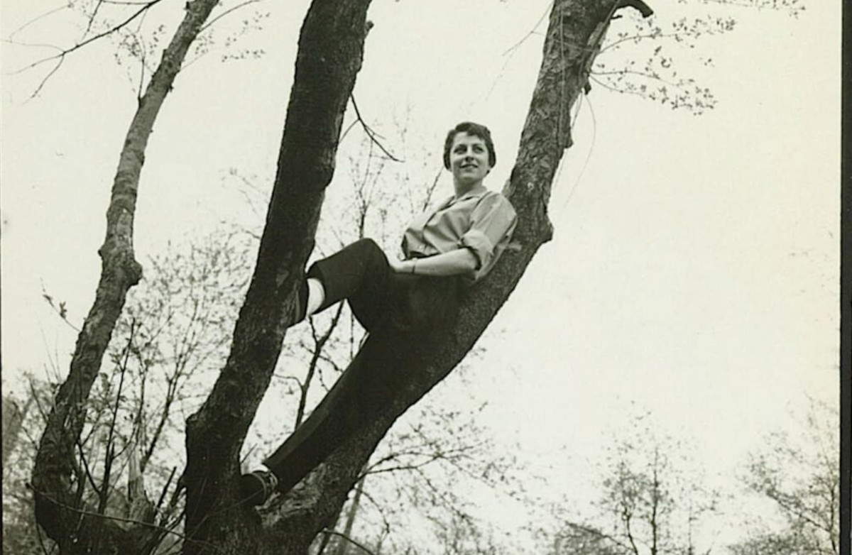 Frauen klettern auf Bäume: eine Fotoausstellung zum Thema im Magazzino delle Idee in Triest 