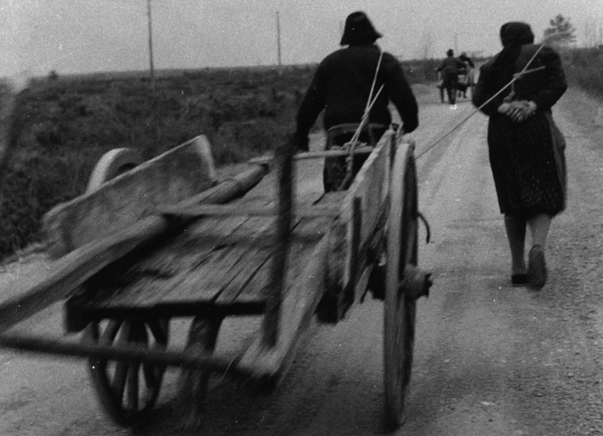 An exhibition in Pordenone on Italo Zannier, photographer who was awarded the first chair of the History of Photography in Italy