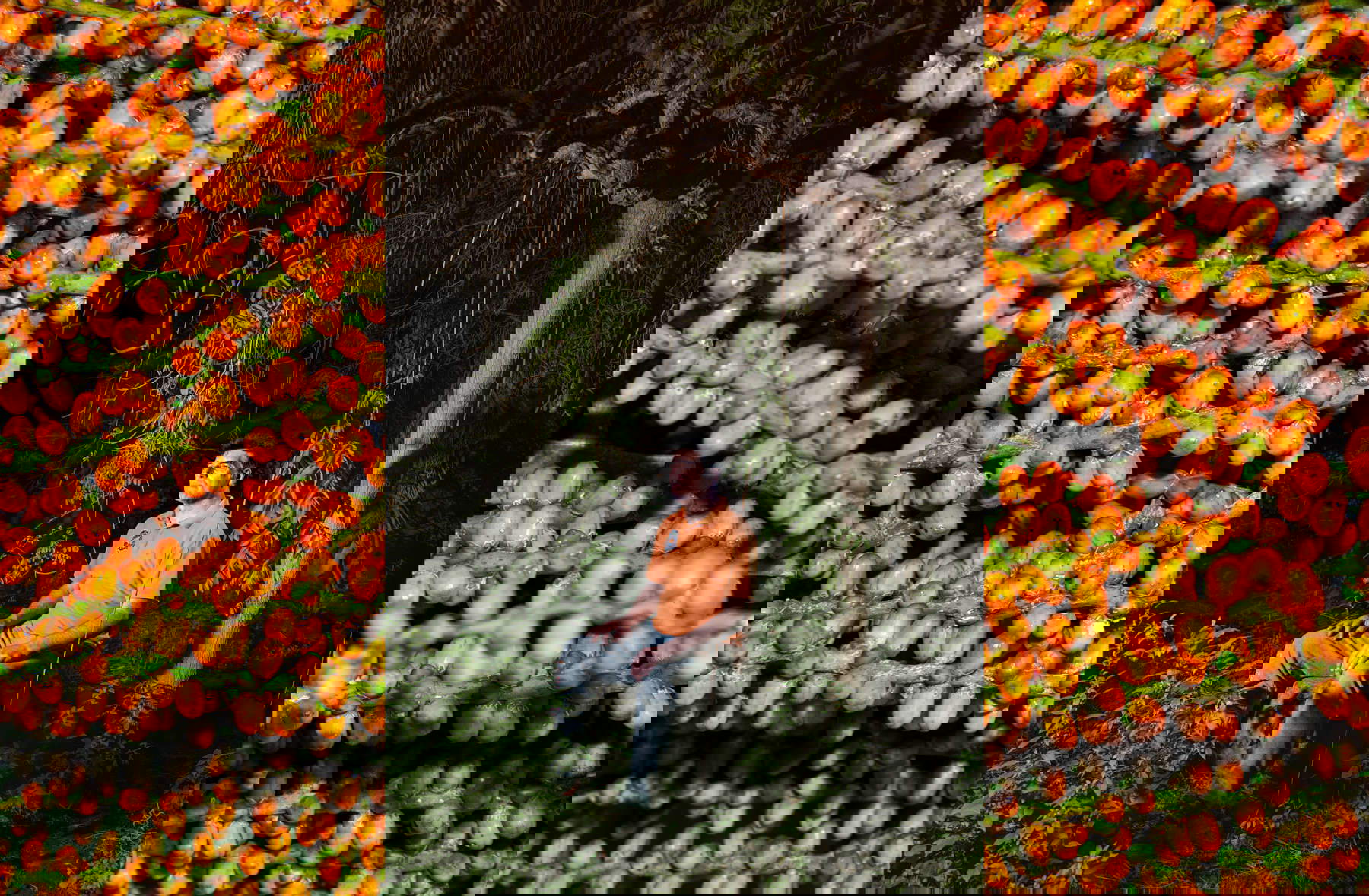 Jean-Marc Caimi &amp; Valentina Piccinni, Dalla serie Tropicalia &copy; Jean-Marc Caimi &amp; Valentina Piccinni