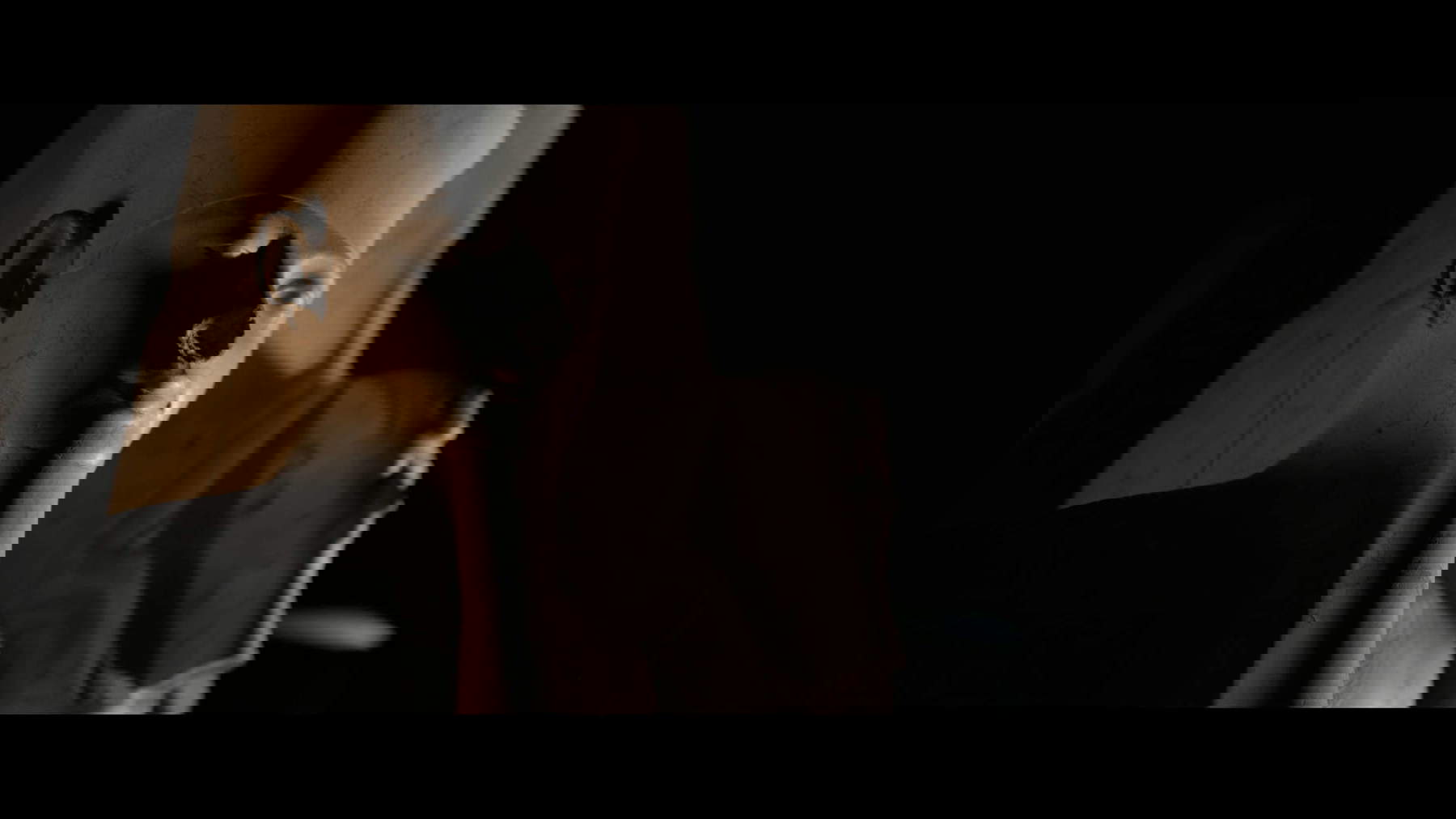 Hommes et dieux. Les merveilles du musée égyptien Hommes et dieux. Les merveilles du musée égyptien