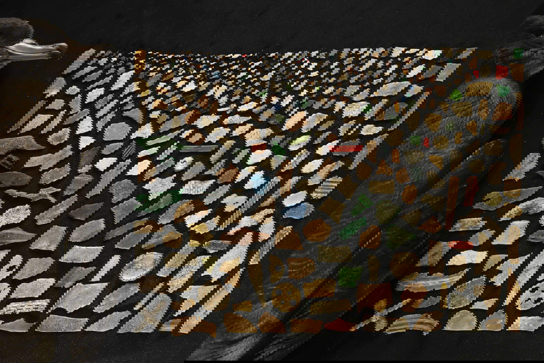 Justin Gilligan (Australia), Una dieta di plastica mortale, Vincitore categoria Oceani: la visione d&rsquo;insieme / Wildlife Photographer of the Year