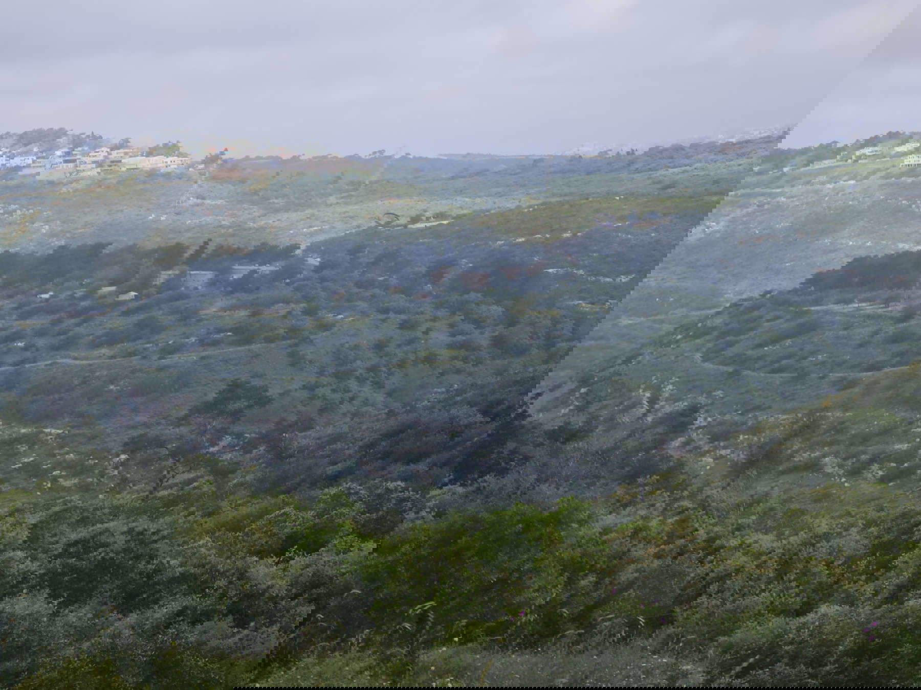 Khirbet Shalala (Fattoria Mishmar HaCarmel) sul Monte Carmelo. Foto: Nir Distelfeld, Autorit&agrave; israeliana per le antichit&agrave;