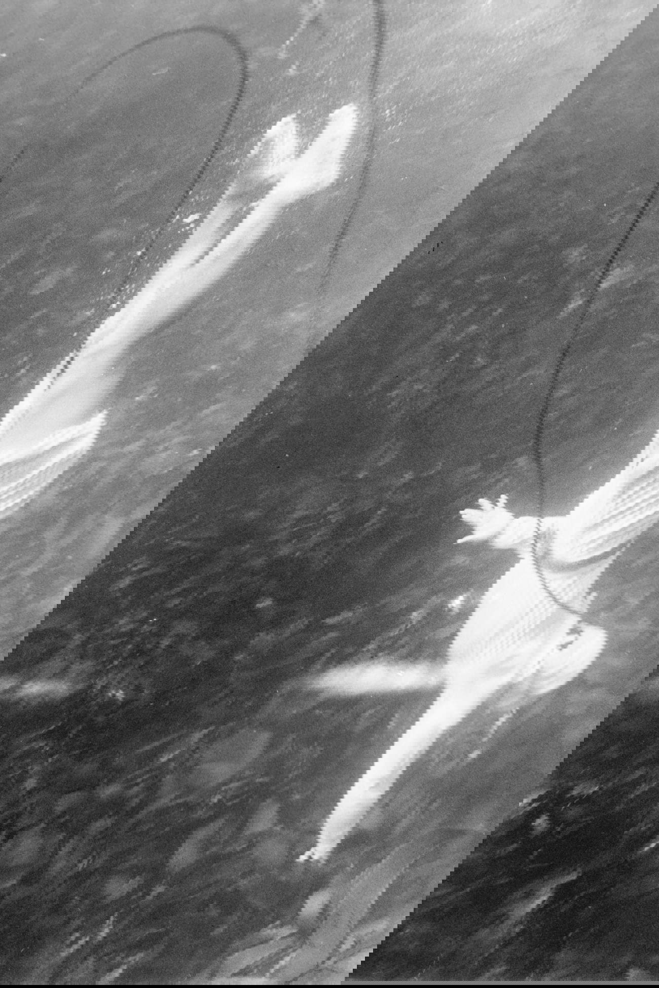Kusukazu Uraguchi, Sous l’eau (1965; fotografia) Su gentile concessione di Estate Uraguchi