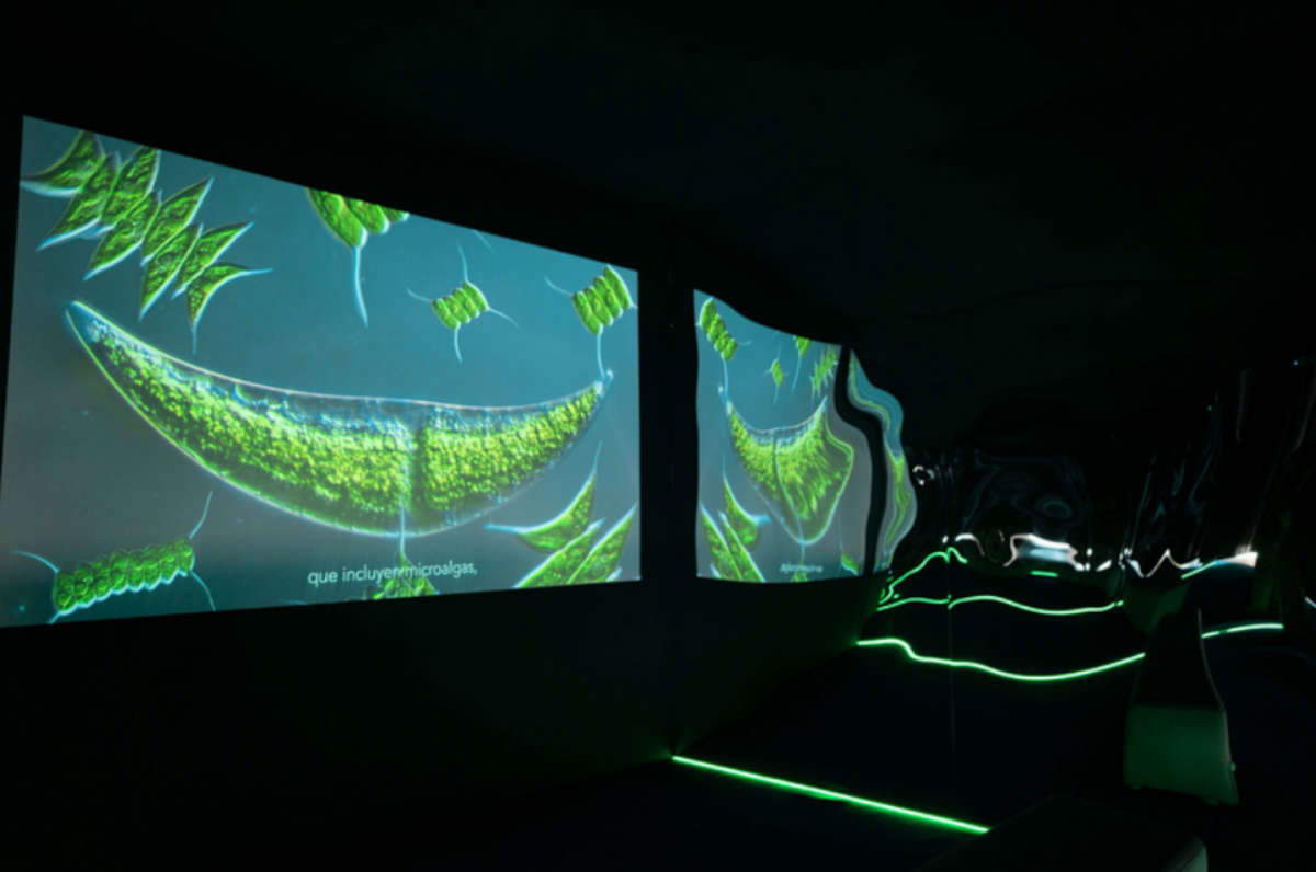 Allestimenti della mostra Allestimenti della mostra