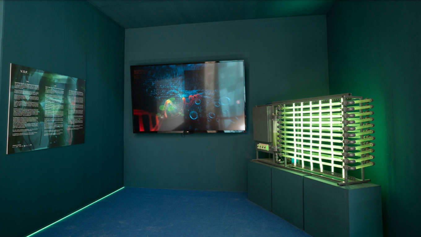 Allestimenti della mostra Allestimenti della mostra