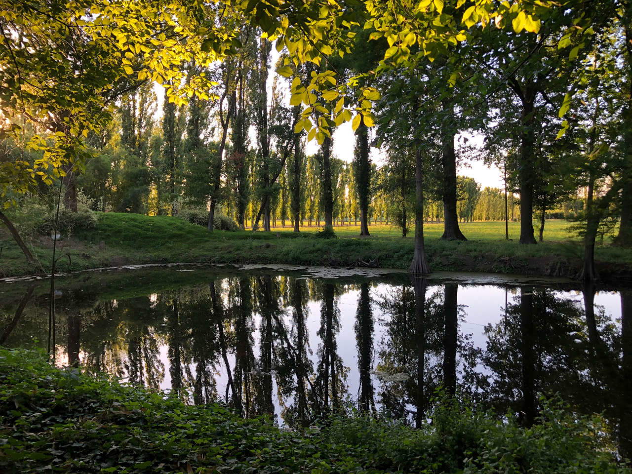 In Fontanellato, the Labyrinth of the Masone exceptionally opens the Hidden Park