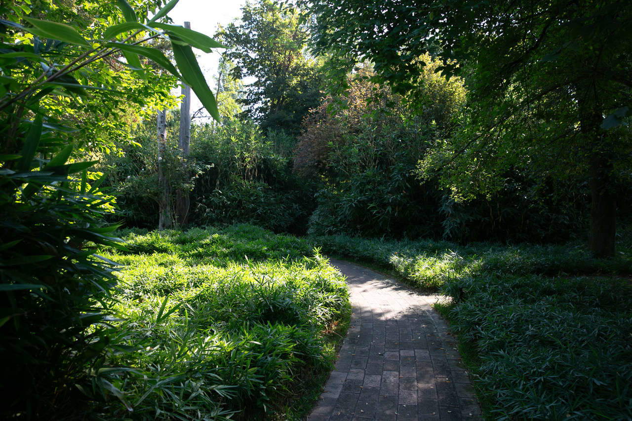 Il Parco Nascosto del Labirinto della Masone Il Parco Nascosto del Labirinto della Masone