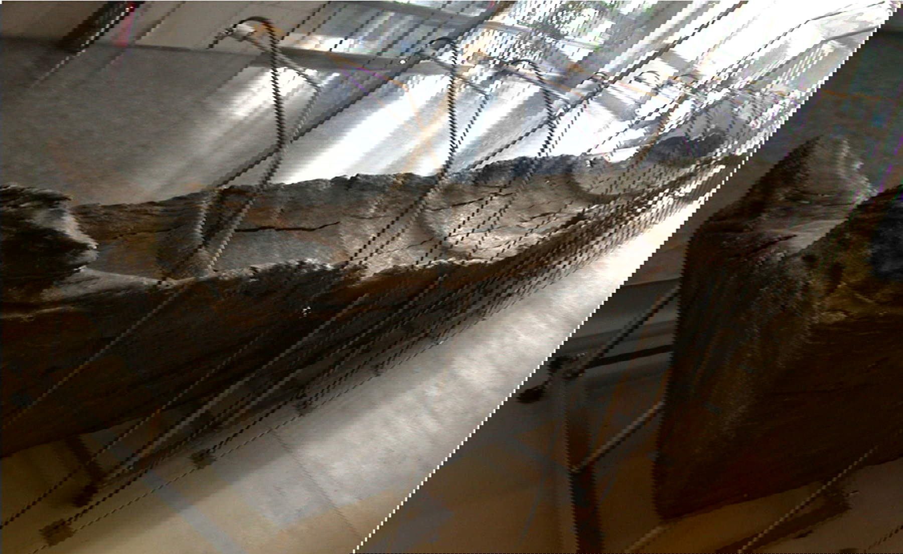 The canoes of Lake Bracciano