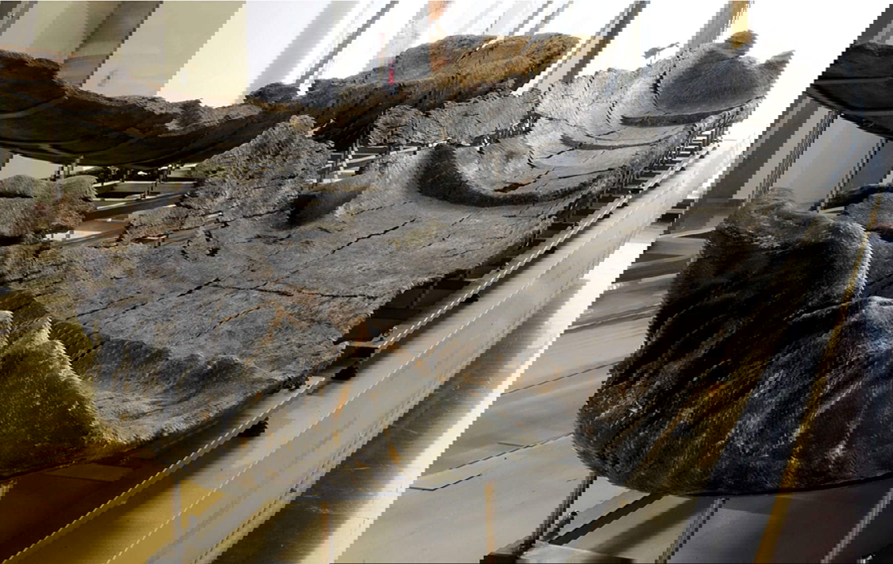 The canoes of Lake Bracciano