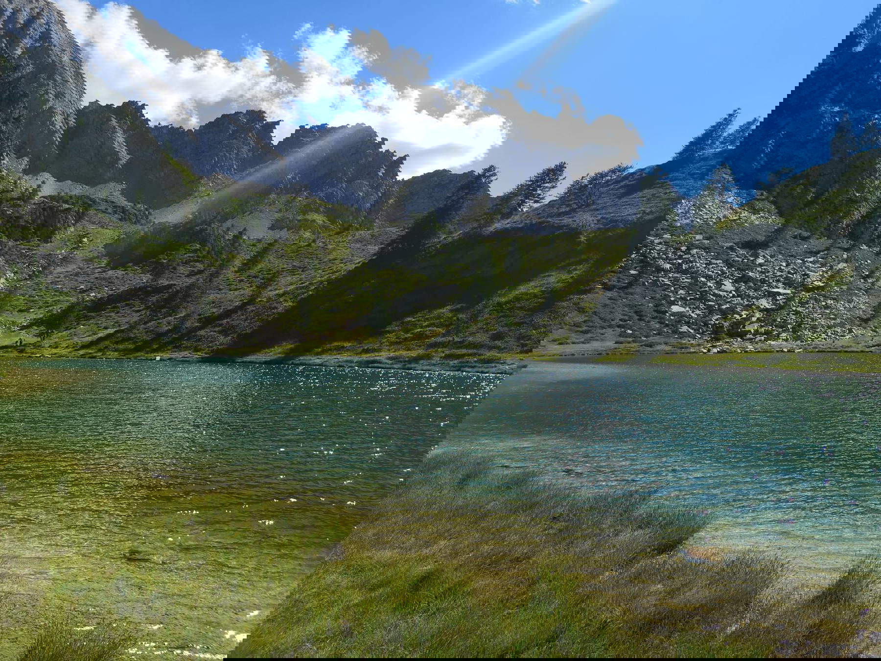 The Black Lake The Black Lake