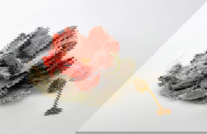 Laura Cavestro, Rag Cup Laura Cavestro, Rag Cup