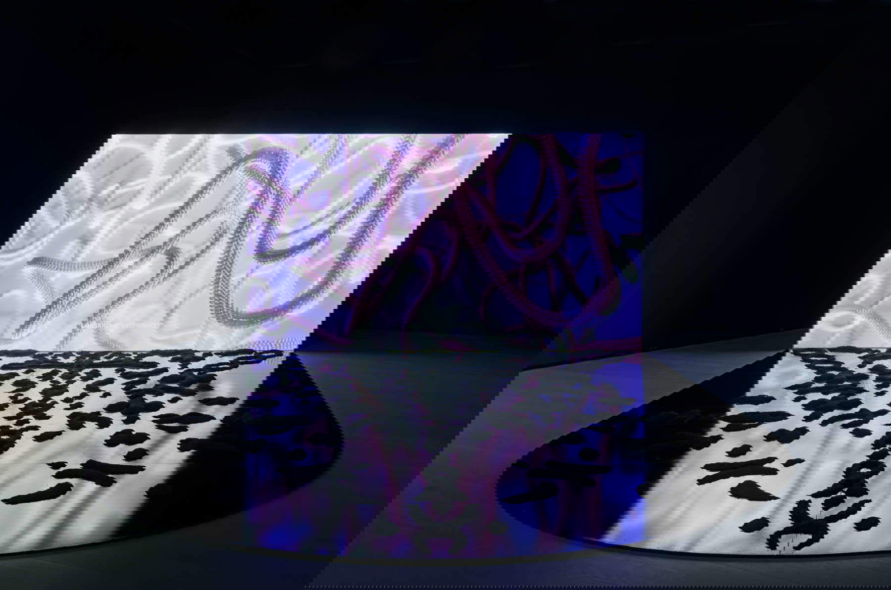 Lena-Kuzmich, CHIMERA (2022 ; film d'animation et d'installation, durée 9'30'', conception sonore de Leonard Prochazka, conception graphique de Winona Hudcov&aacute;, texte avec Lennart Horst).