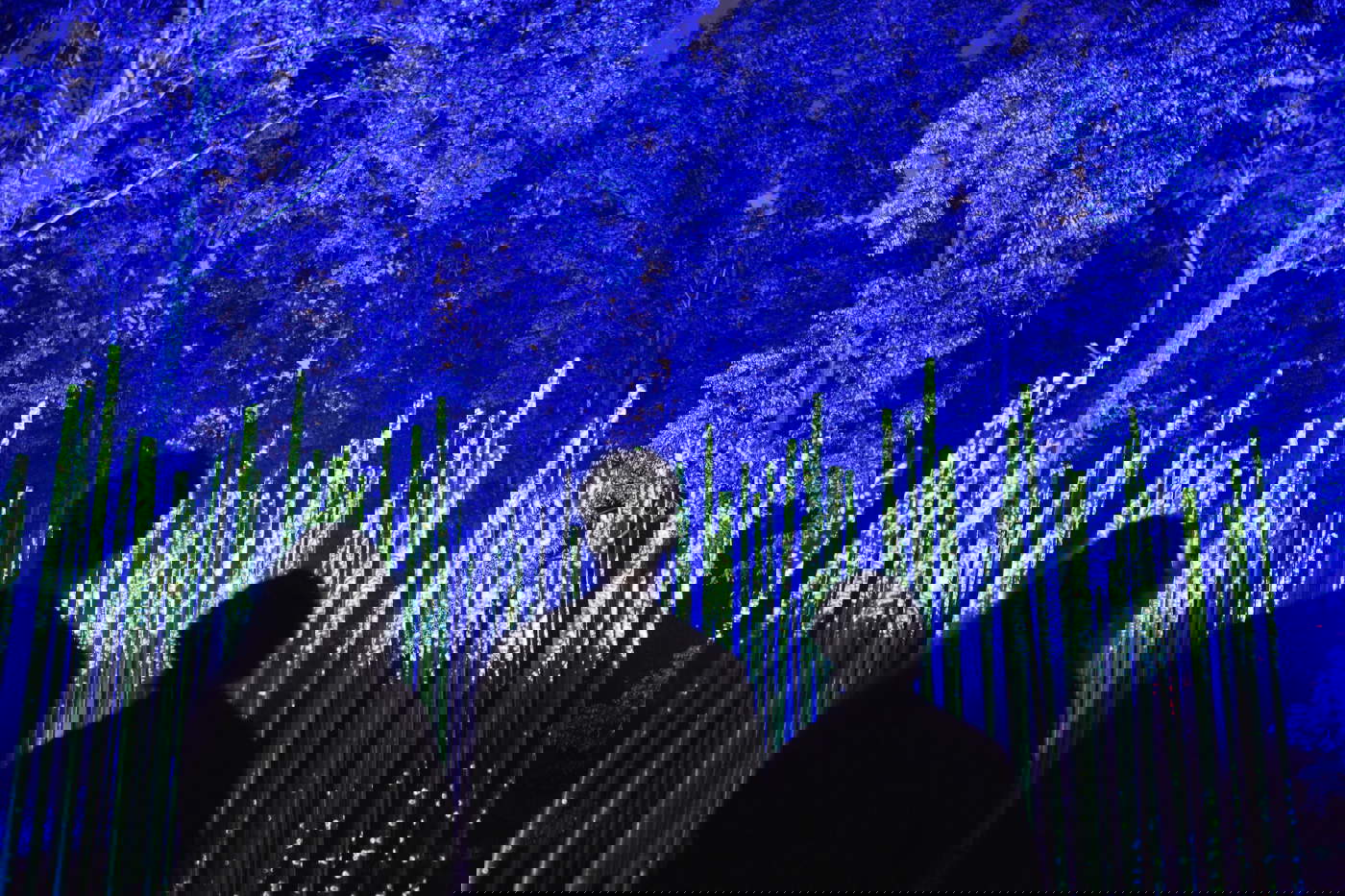 Cycles lumineux