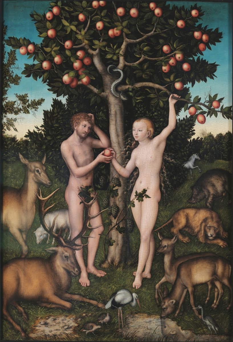 Lucas Cranach, Adam and Eve (1525; London, The Courtauld Institute) Lucas Cranach, Adam and Eve (1525; London, The Courtauld Institute)
