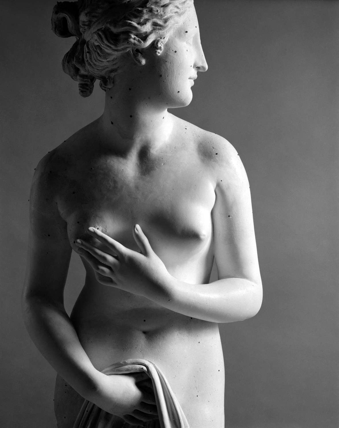 Luigi Spina, Canova Quattro Tempi Luigi Spina, Canova Quattro Tempi