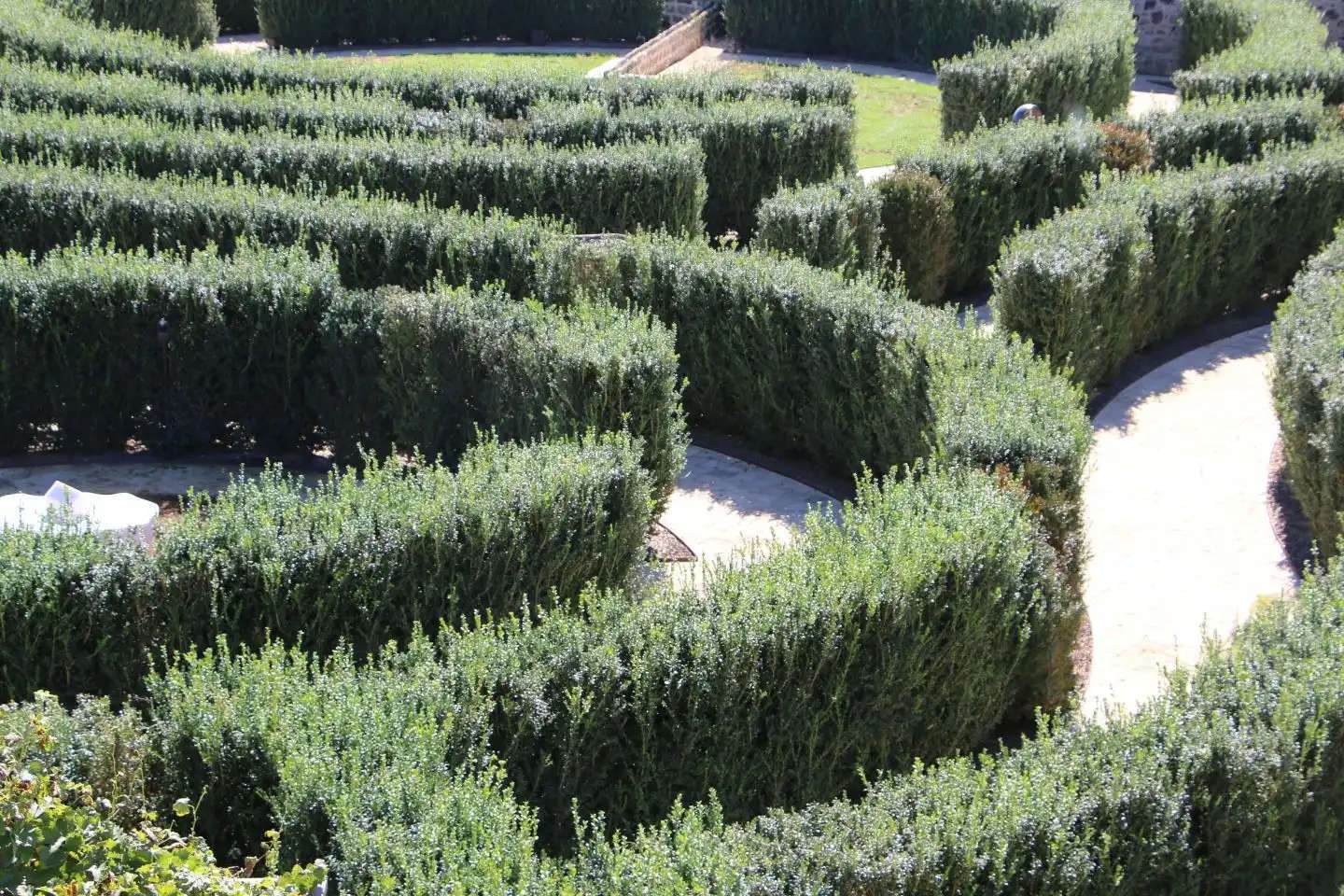 Masseria Terre di Corillo. Foto: Giuseppe Baldi