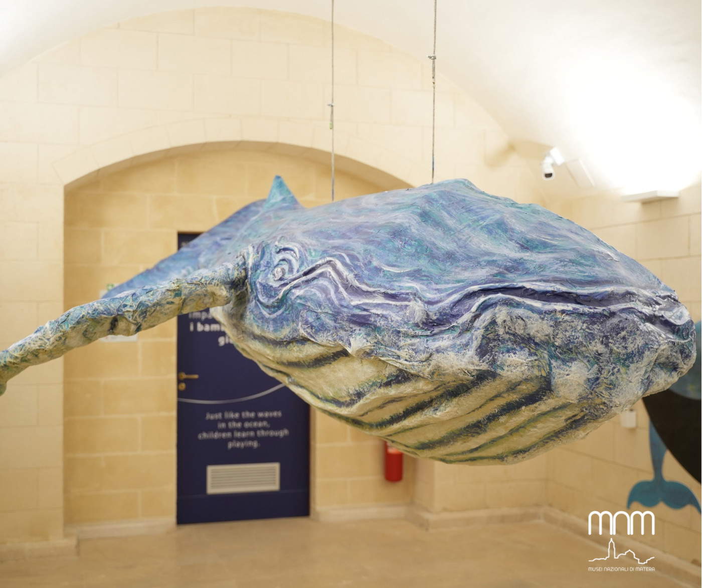 Le musée archéologique de Matera inaugure l'exposition consacrée aux restes du fossile de baleine julienne