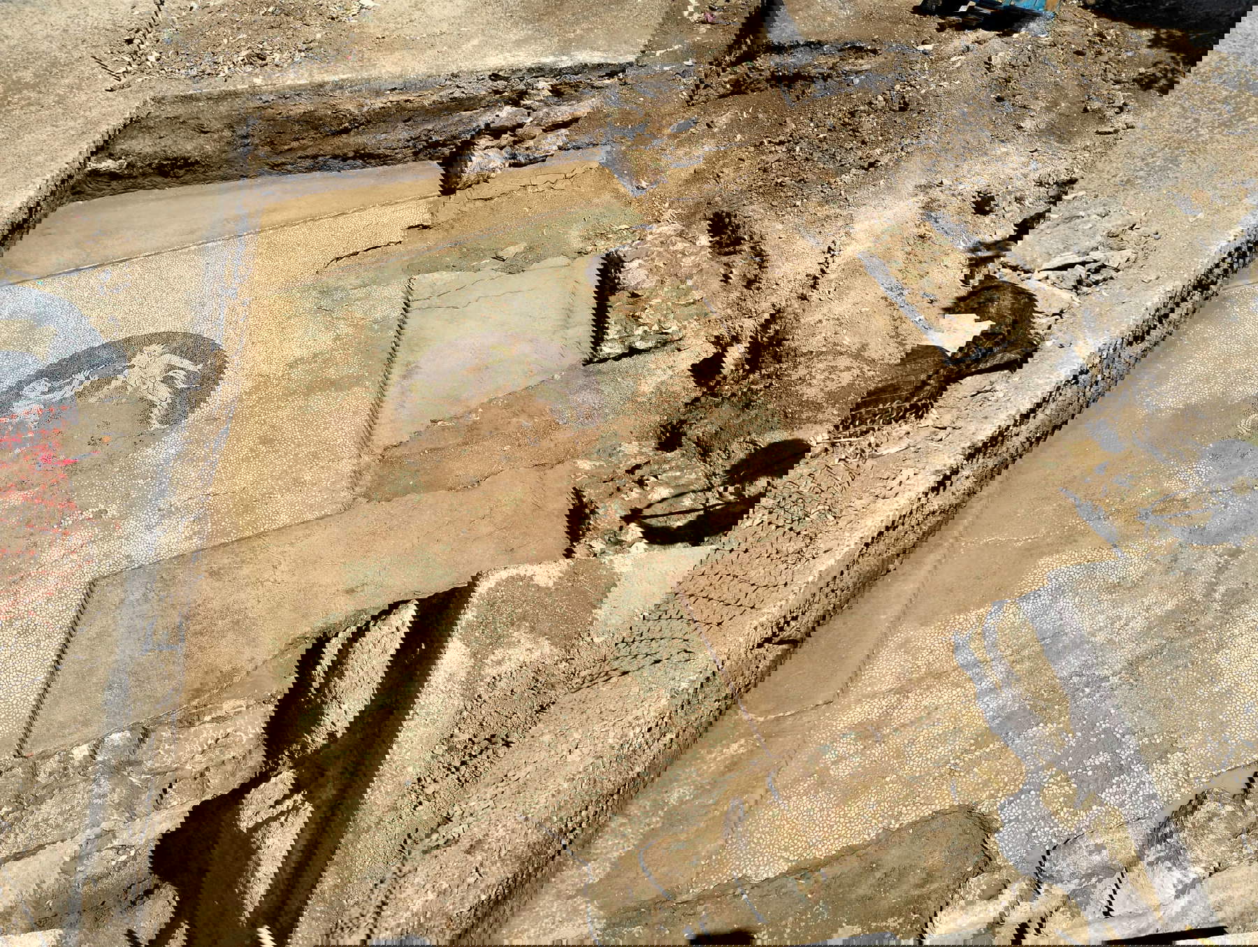 The mosaic found in Eretria The mosaic found in Eretria