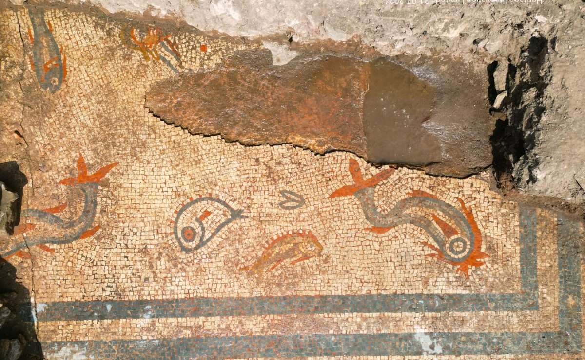 England, Roman mosaic with dolphins and fish discovered