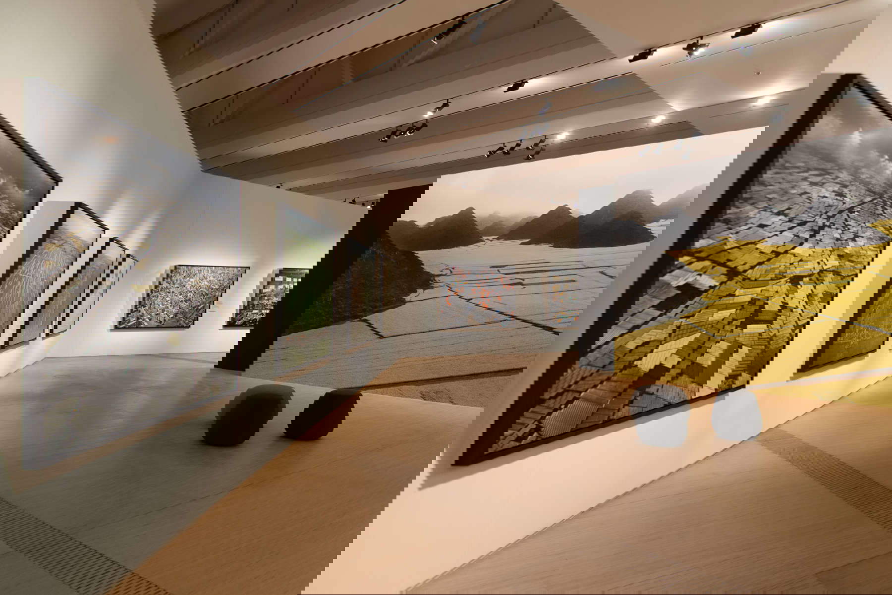 Allestimenti della mostra Allestimenti della mostra