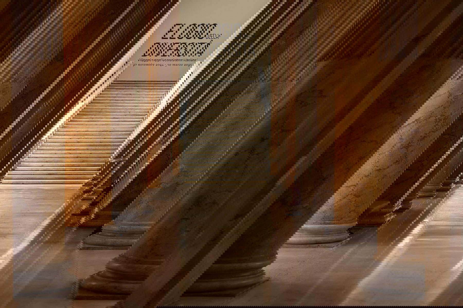 Allestimenti della mostra. Foto: Alberto Novelli Allestimenti della mostra. Foto: Alberto Novelli