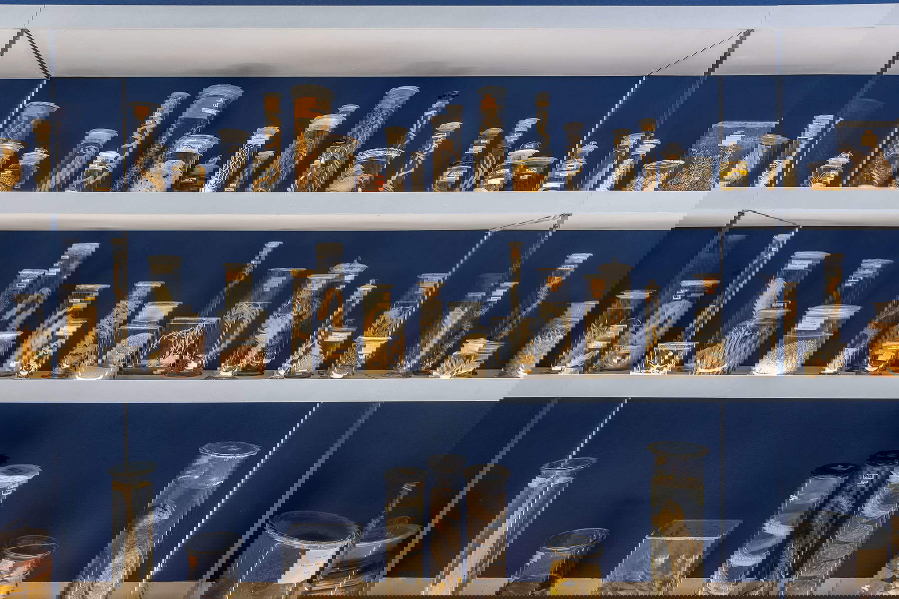 Allestimenti della mostra. Foto: Alberto Novelli Allestimenti della mostra. Foto: Alberto Novelli