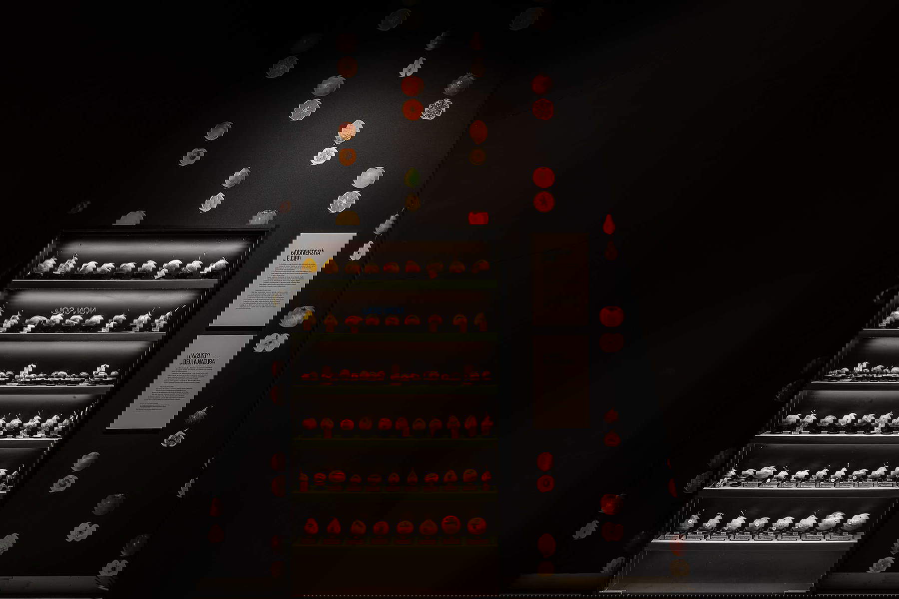 Allestimenti della mostra. Foto: Alberto Novelli Allestimenti della mostra. Foto: Alberto Novelli