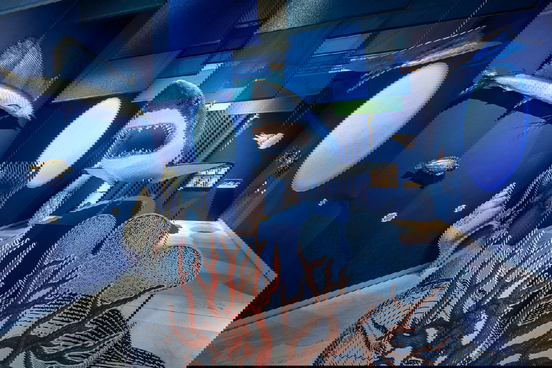 Allestimenti della mostra. Foto: Alberto Novelli Allestimenti della mostra. Foto: Alberto Novelli