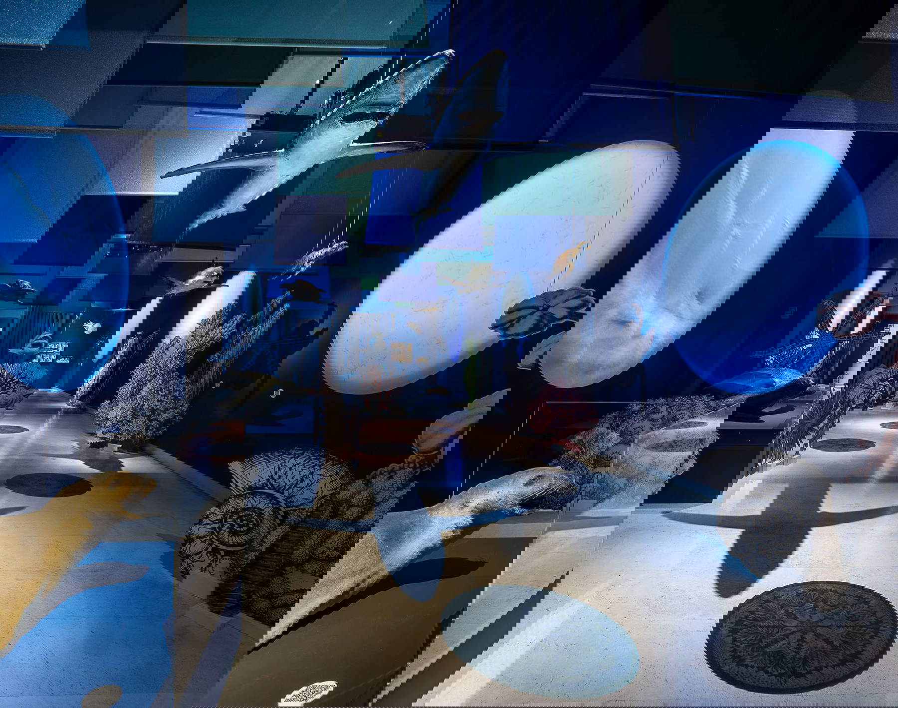 Allestimenti della mostra. Foto: Alberto Novelli Allestimenti della mostra. Foto: Alberto Novelli