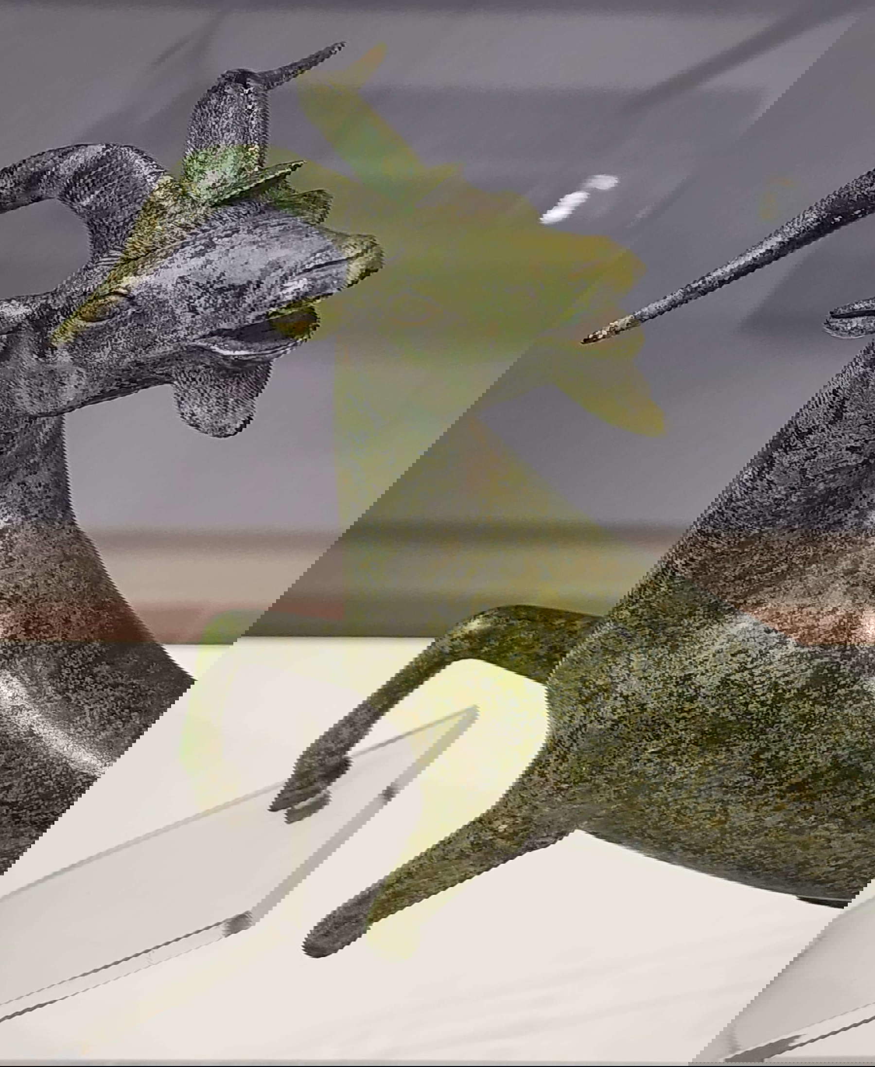 La cabra etrusca de Bibbona La cabra etrusca de Bibbona