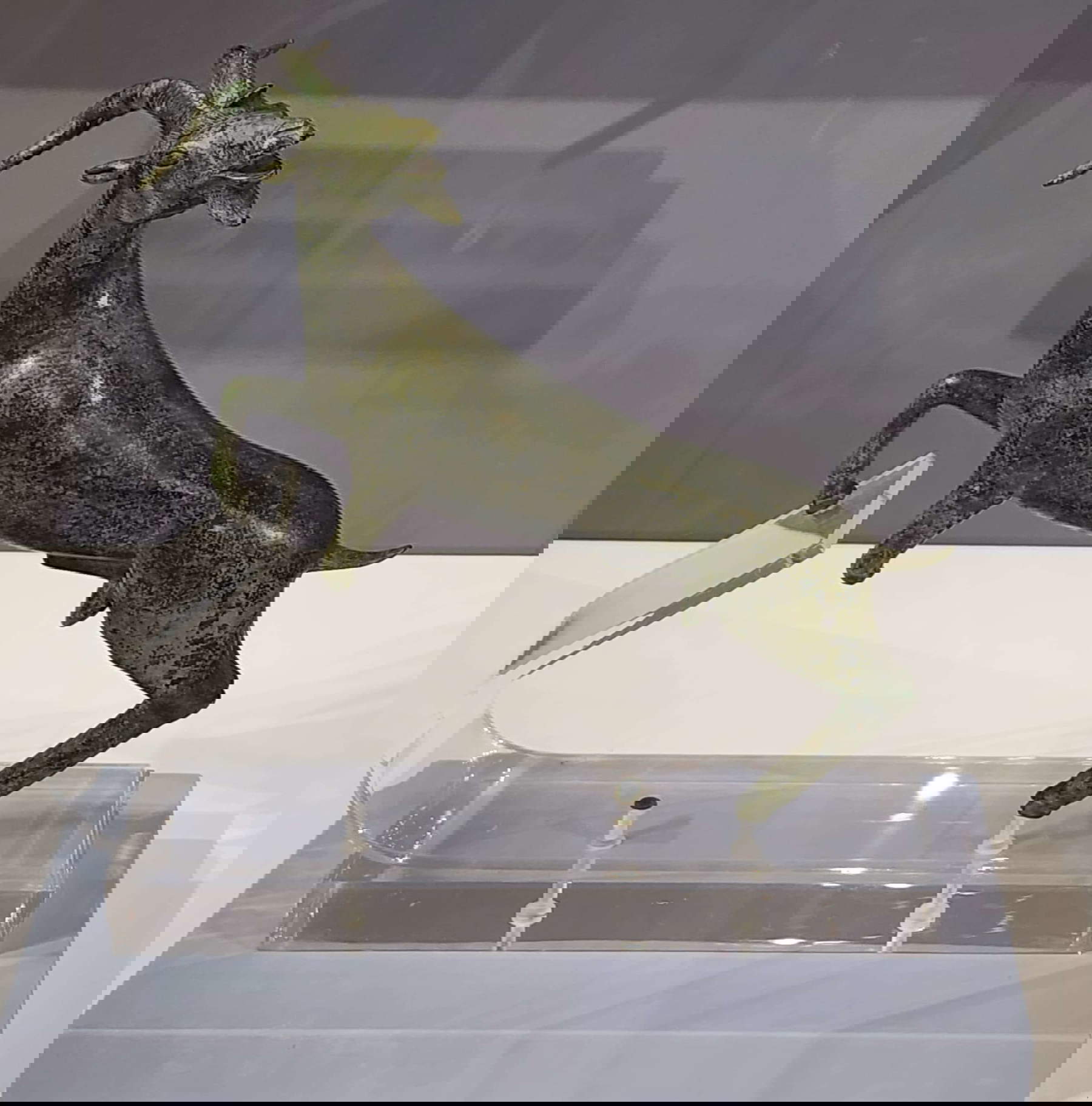 La cabra etrusca de Bibbona La cabra etrusca de Bibbona