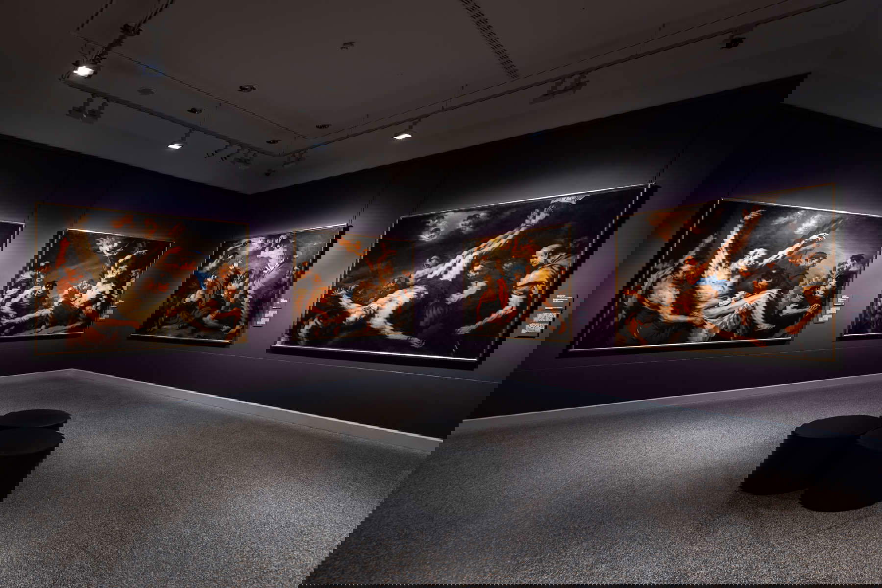Allestimenti della mostra Allestimenti della mostra