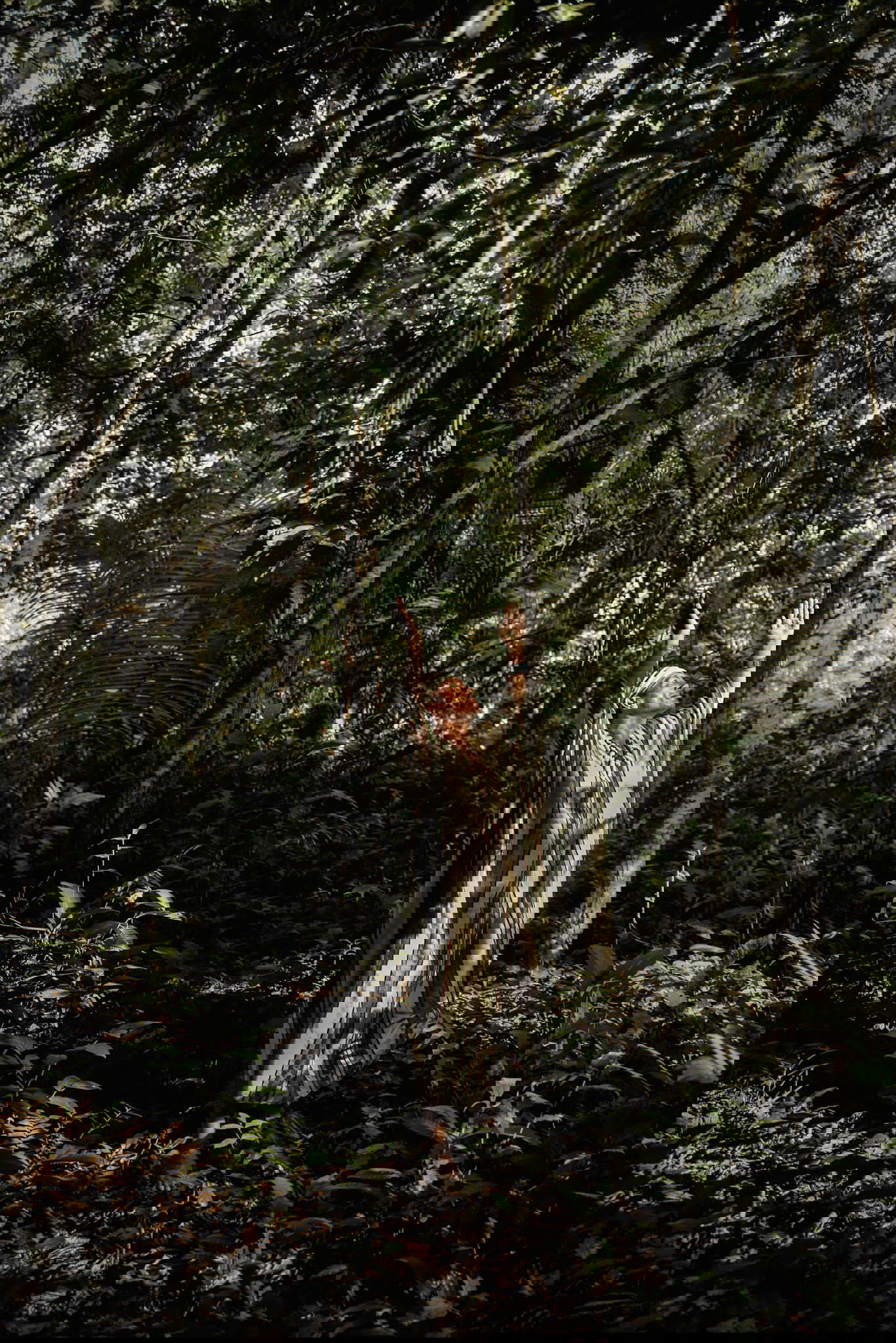 Nicol&ograve; Lanfranchi, Dalla serie The Forest Knows &copy; Nicol&ograve; Lanfranchi