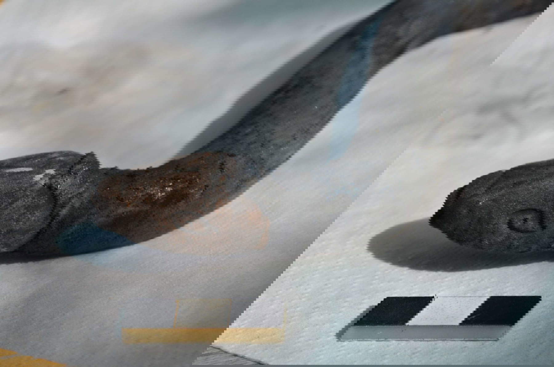 Serpent en bronze. Photo : Commune de San Casciano dei Bagni / Alessandra Fortini