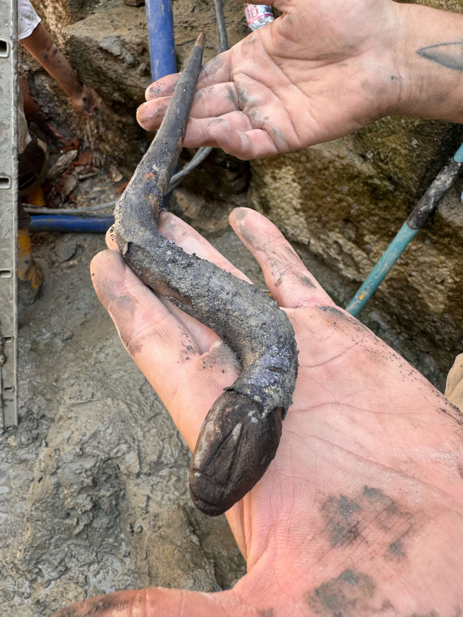 Serpent en bronze. Photo : Commune de San Casciano dei Bagni / Claudia Petrini