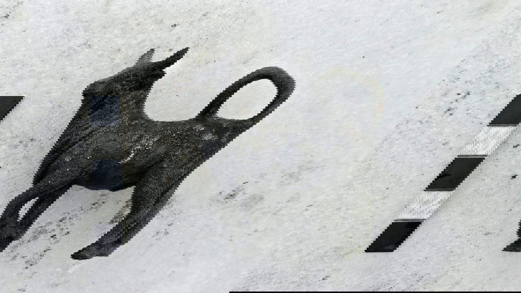 Statuette de taureau. Photo : Commune de San Casciano dei Bagni / Chiara Fermo